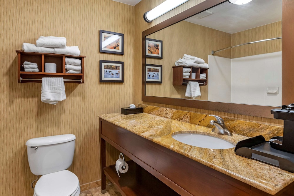 Comfort Inn Wings Stadium 27/29