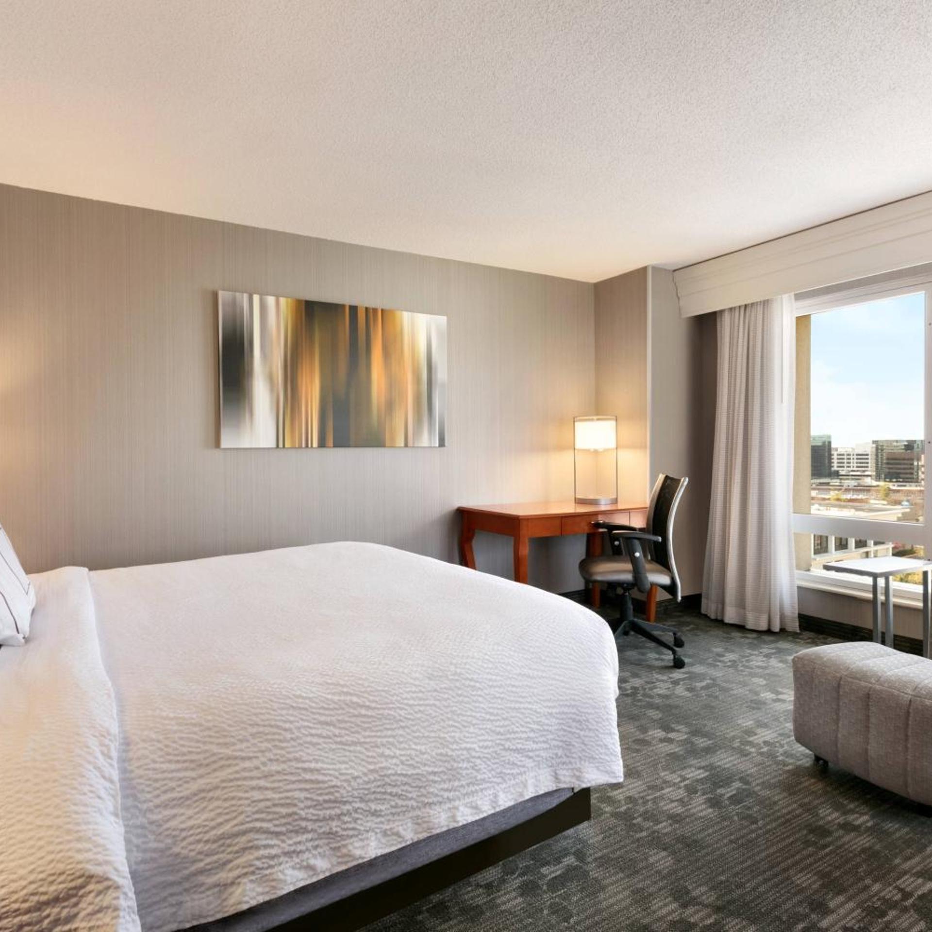 Guest Room, King Bed, City View