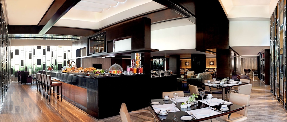 Radisson Blu Plaza Hotel Delhi Airport 60/76