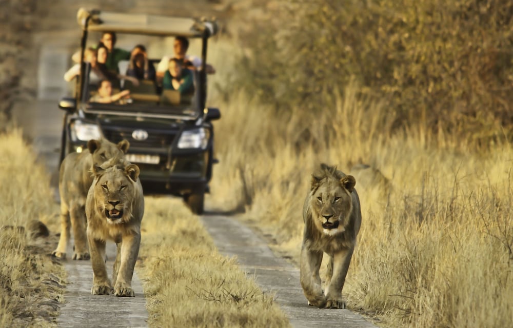 Morokolo Safari Lodge 25/82