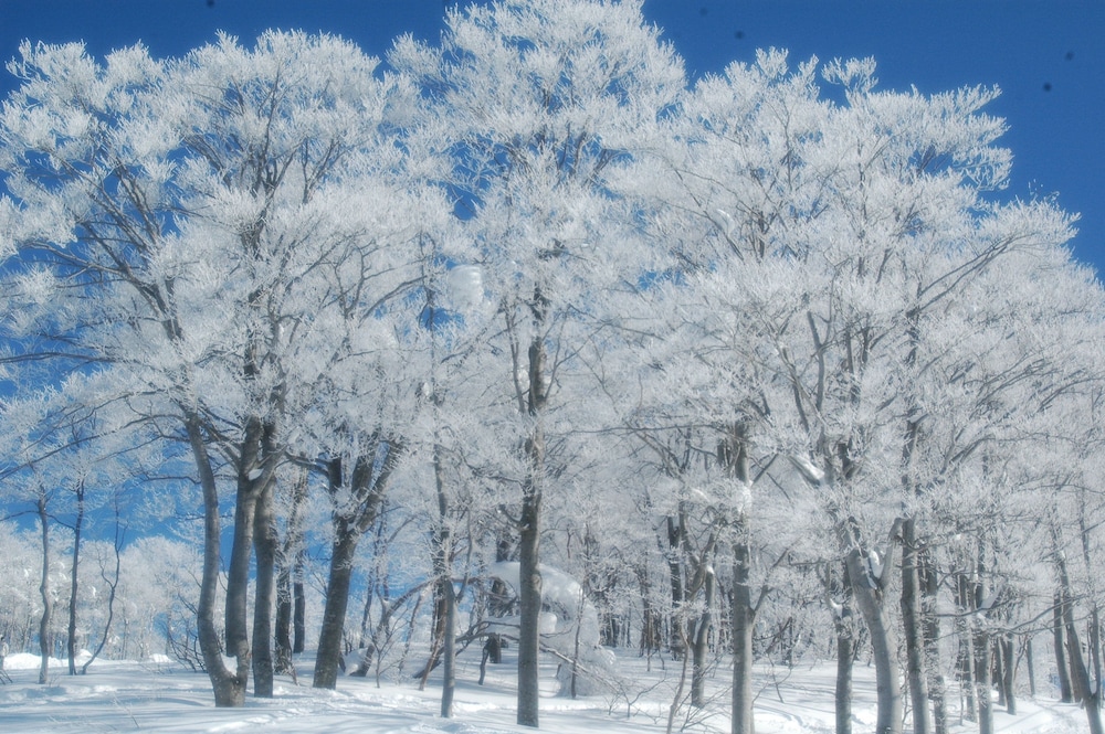 HOTEL HARVEST SKI JAM KATSUYAMA 71/72