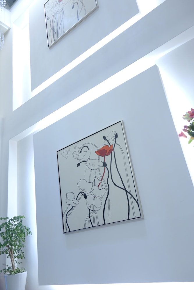 Skylight B&amp;B 46/65