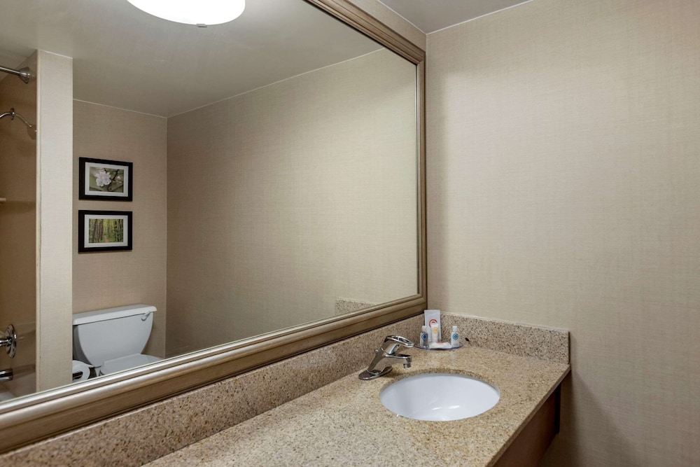 Comfort Inn Lansing West MI 27/61