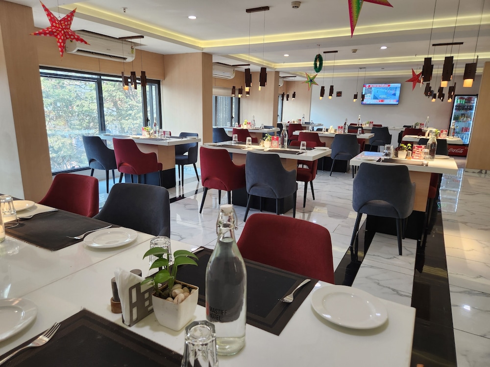 Mastiff Hotel, Ankleshwar 47/60