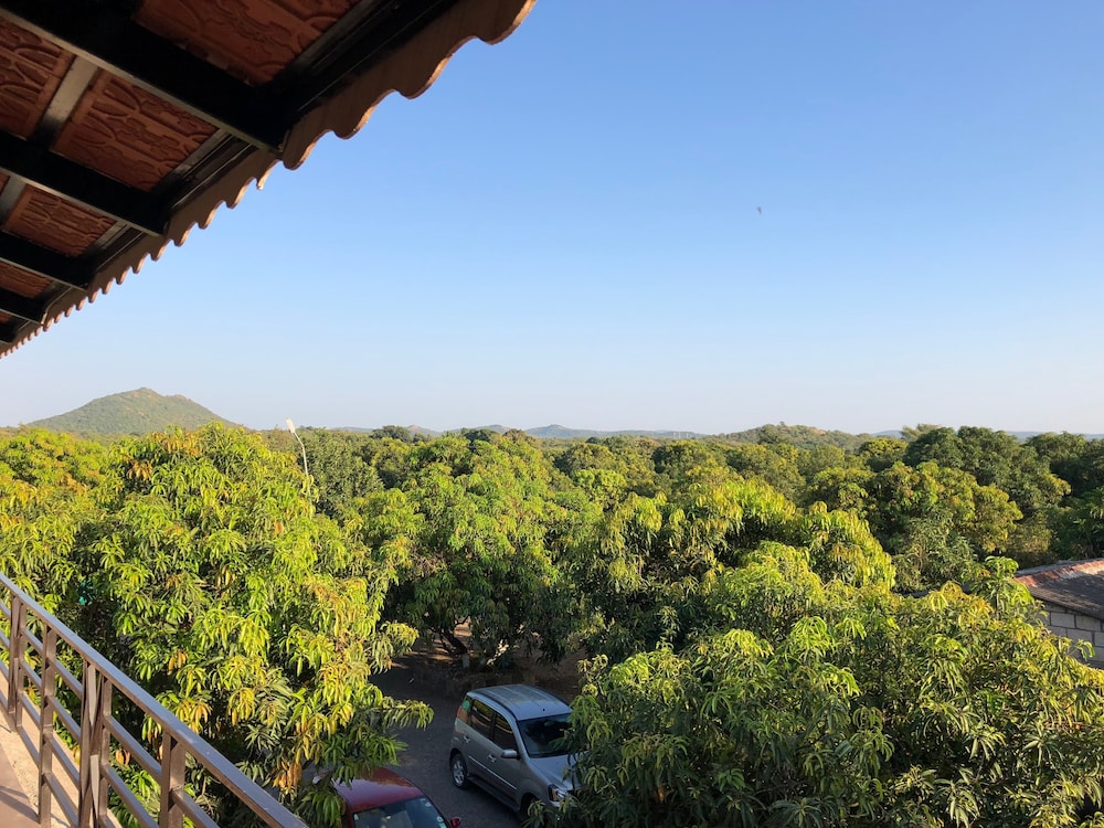 Gir Lion's Paw Resort 28/35