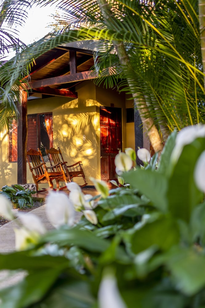 Rinconcito Lodge 2/49