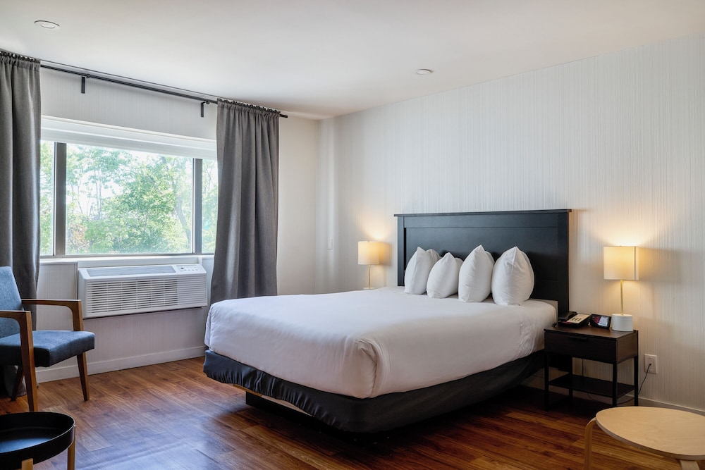 JUNIOR SUITE, QUEEN BED, KITCHENETTE