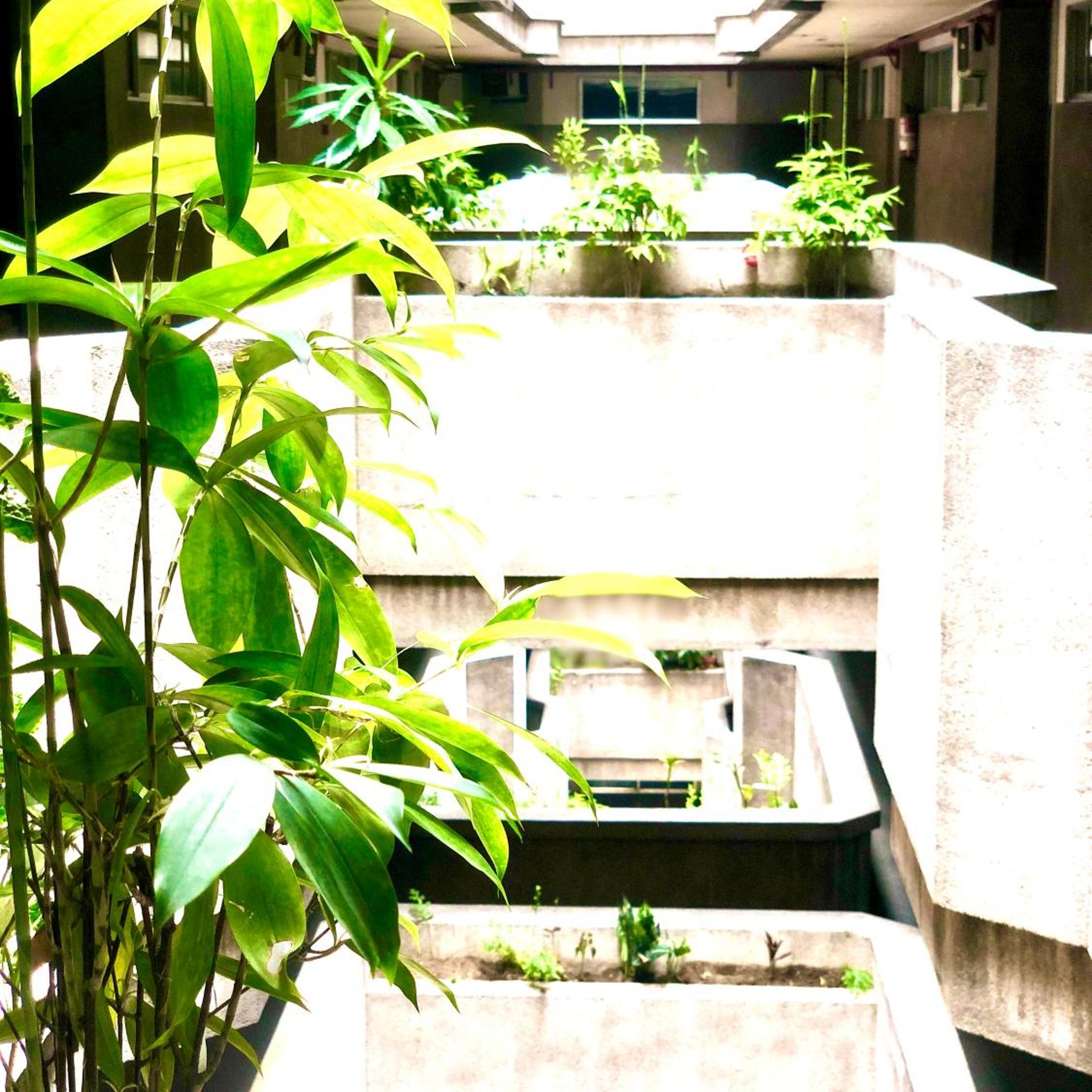 Benson Apartelle 42/50