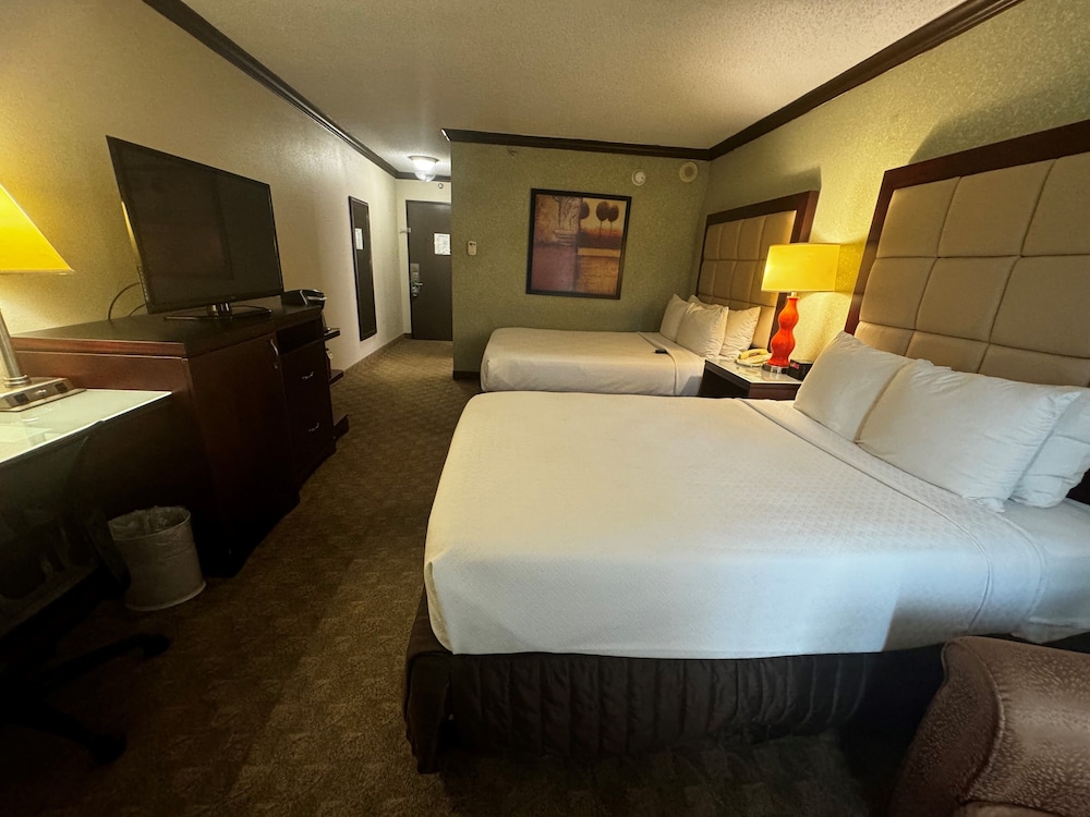 Wingate Houston near NRG Park/Medical Center 15/54