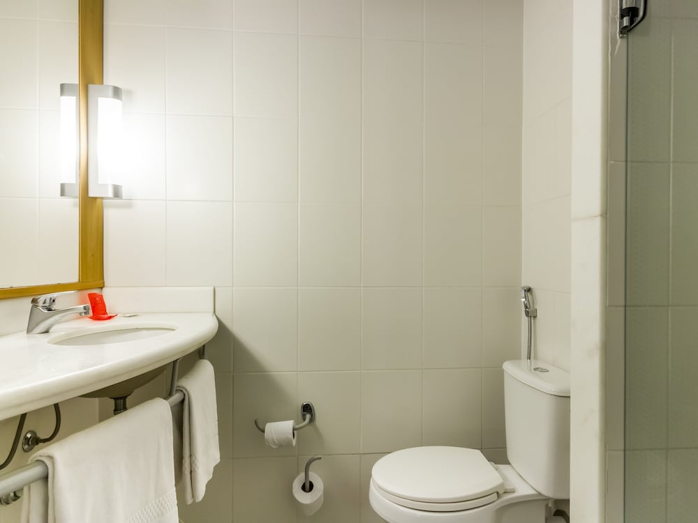 Ibis Jaboticabal 44/47