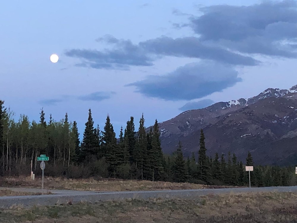 Denali Park Hotel 27/35