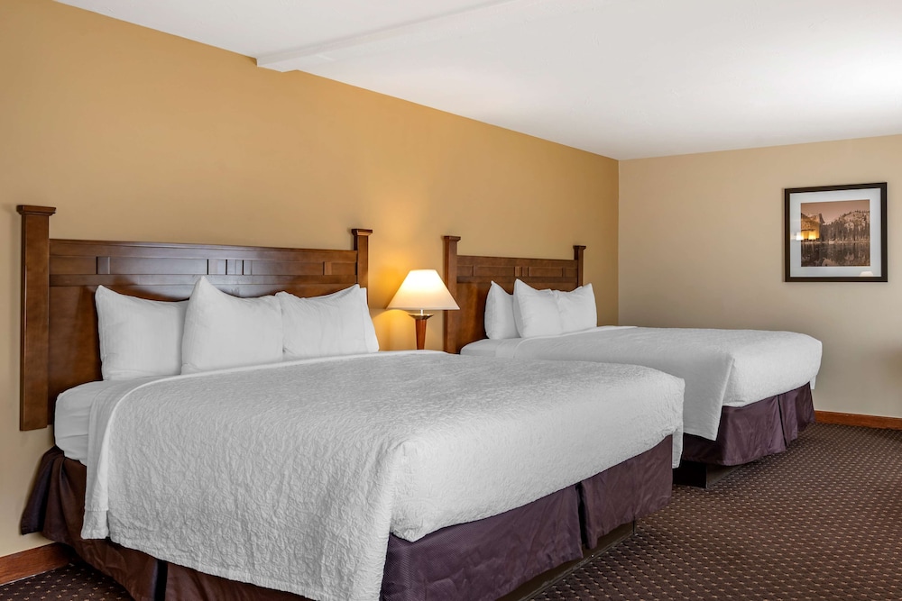 Best Western Desert Inn 21/50