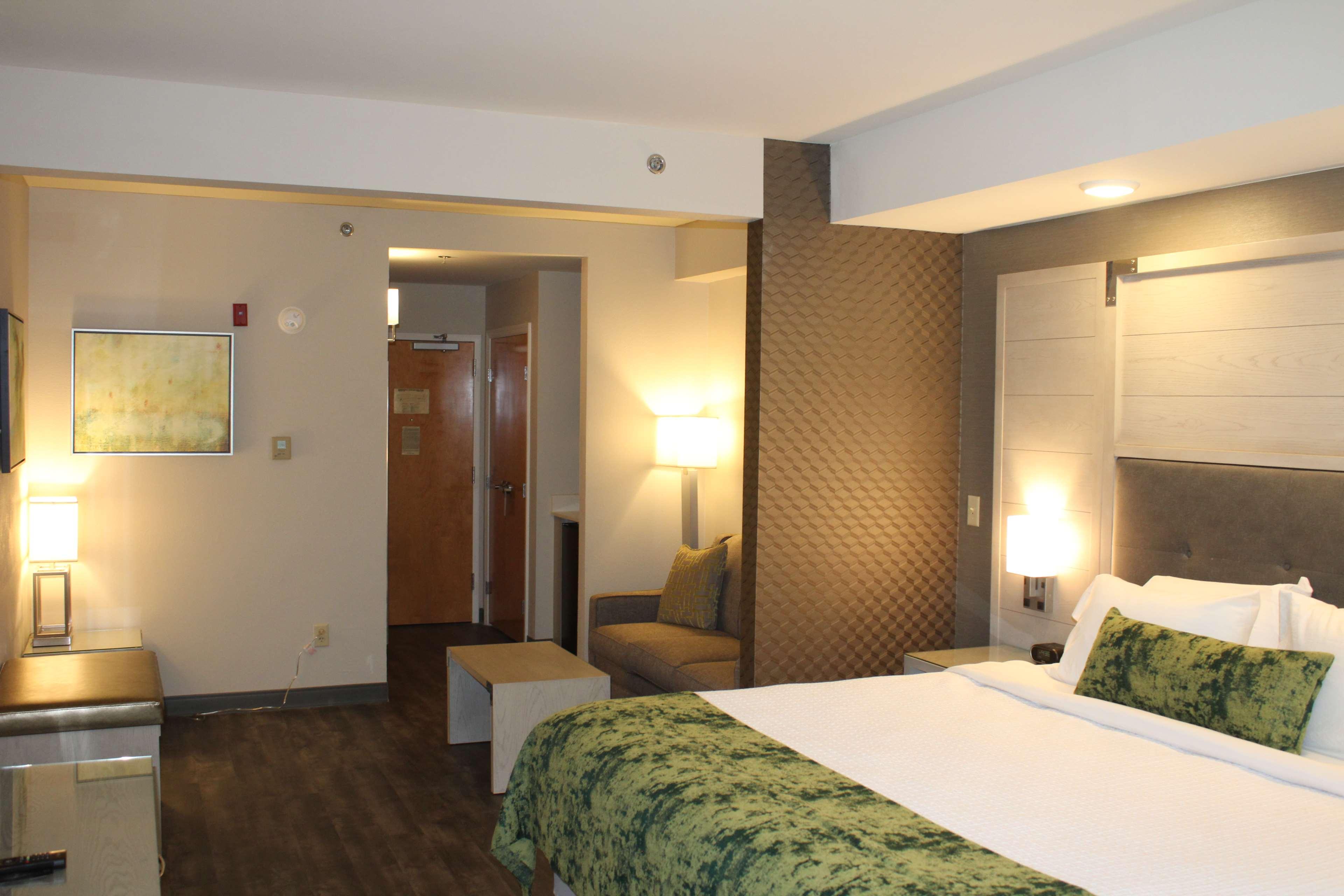 Suite, King Bed
