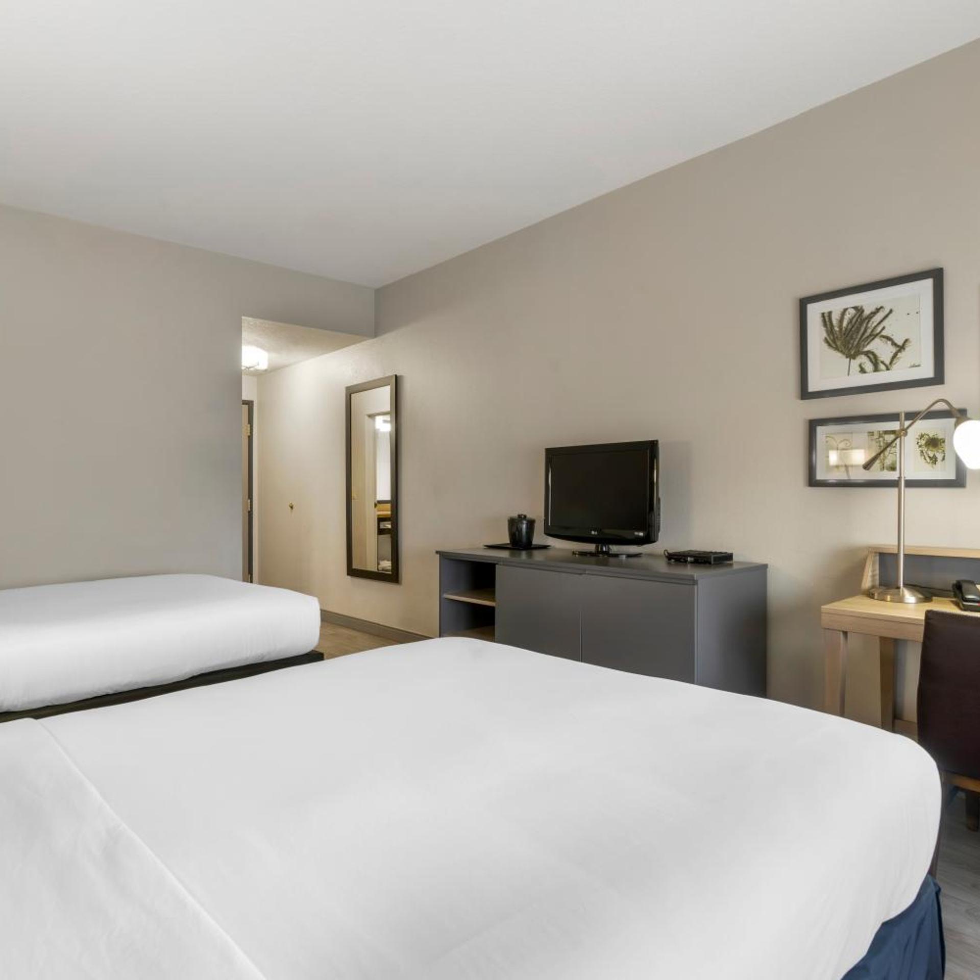1 Bedroom, Suite, 2 Queen Beds, Sofa