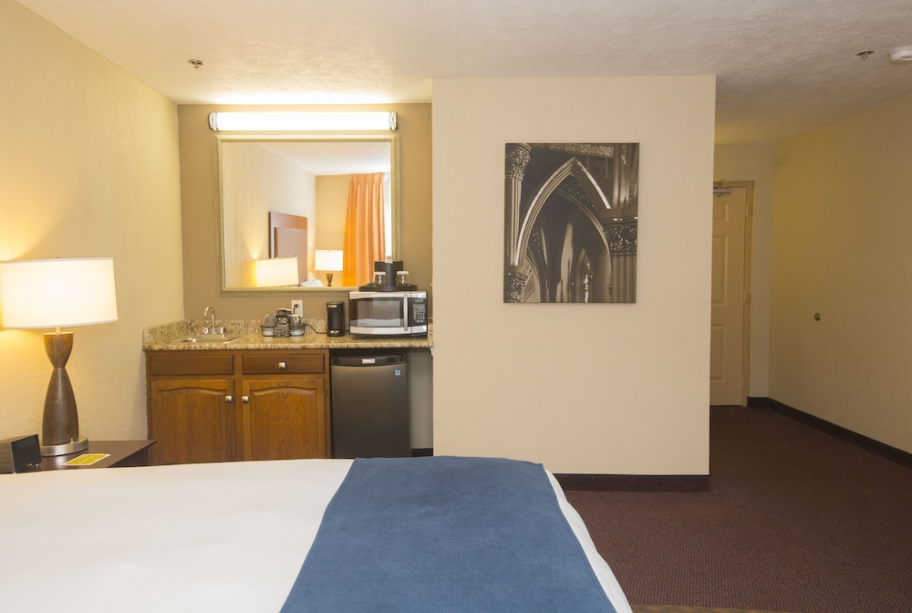 Ivy Court Inn And Suites 23/49