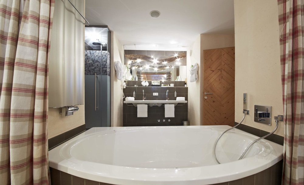 Hotel Alpine Palace 29/50