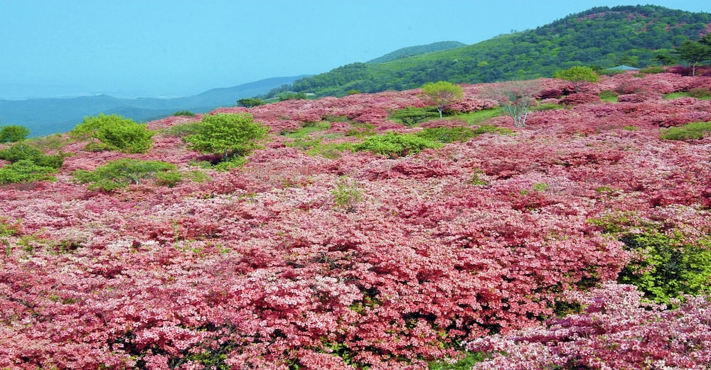 Hotel Pearl City Kesennuma 39/46