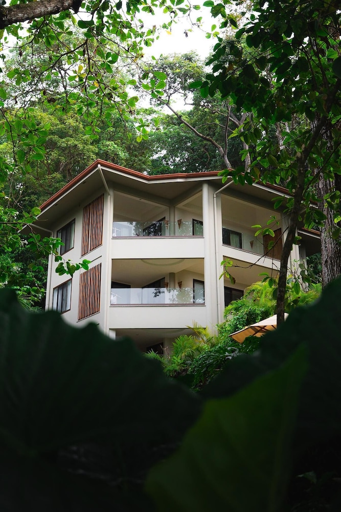 Arenas del Mar Beachfront & Rainforest Resort 5/75