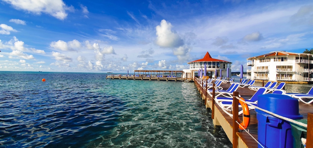 Decameron Aquarium - All Inclusive 37/41