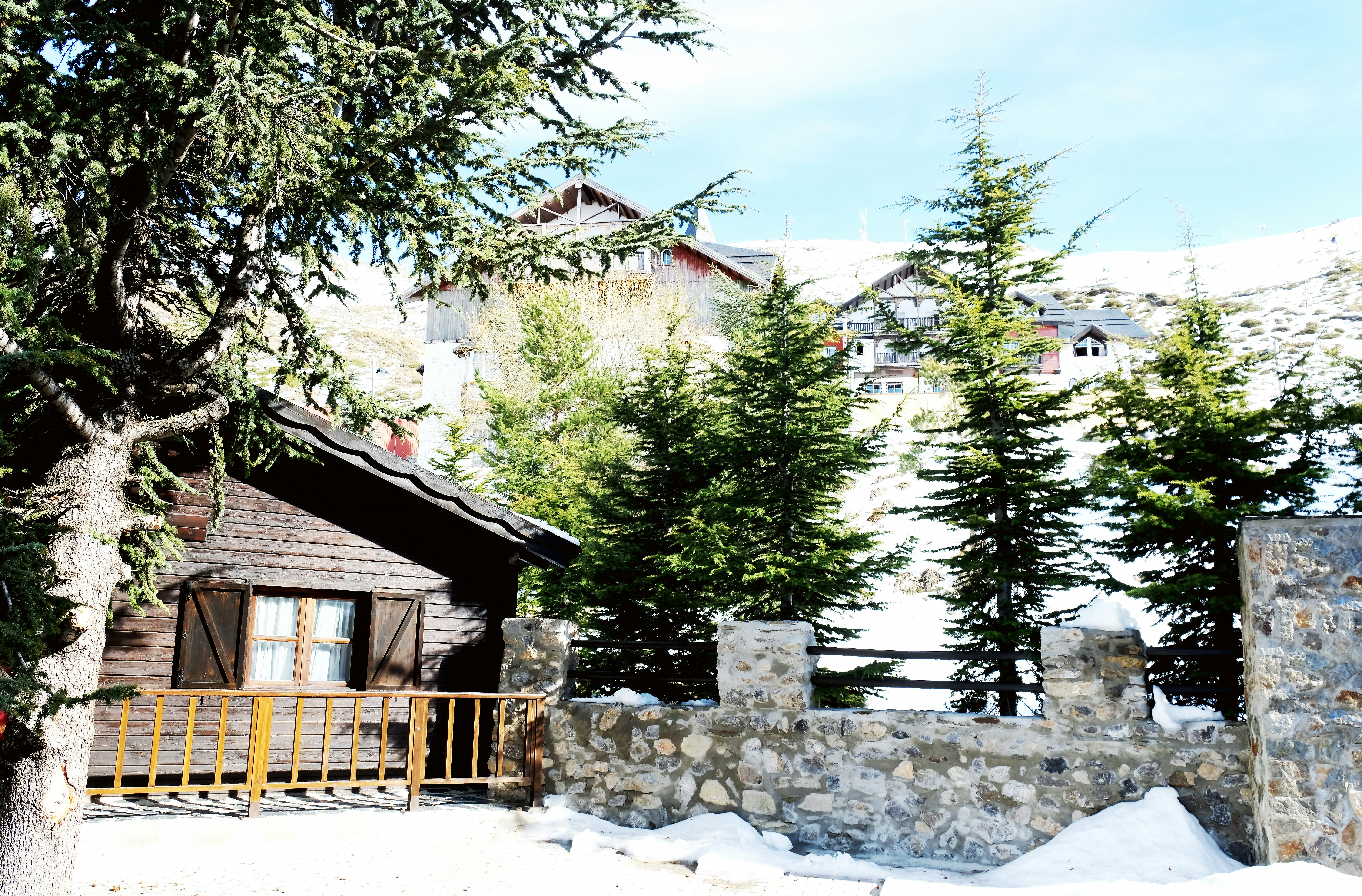 El Lodge 36/37
