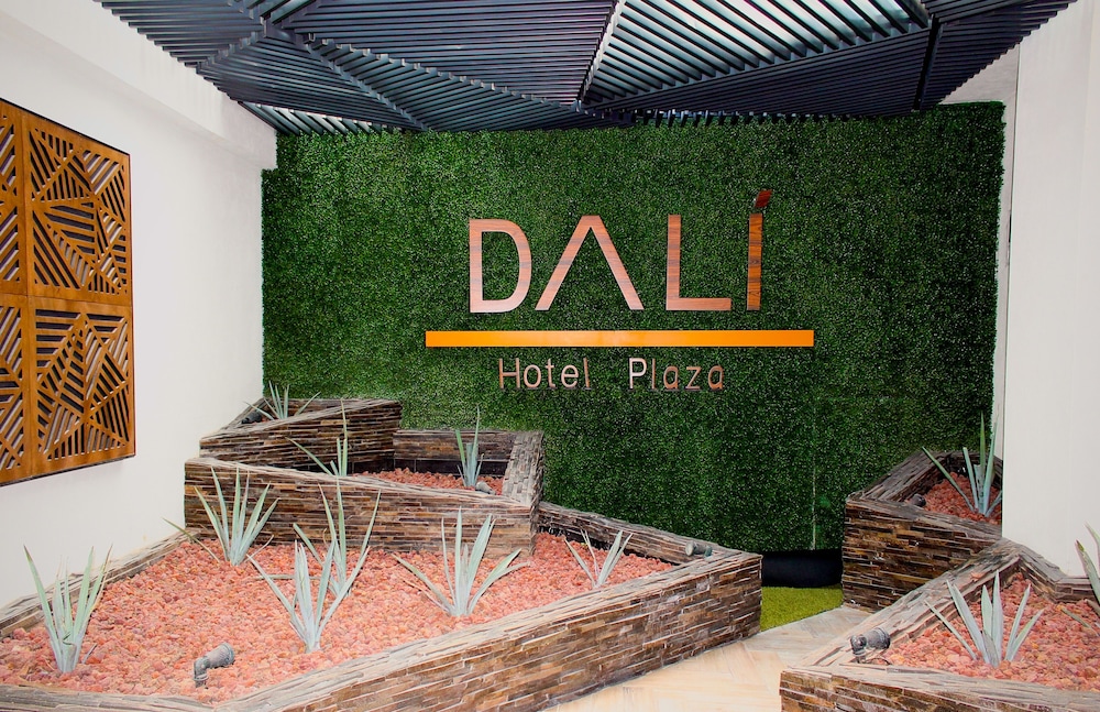 Hotel Dali Ejecutivo 8/86