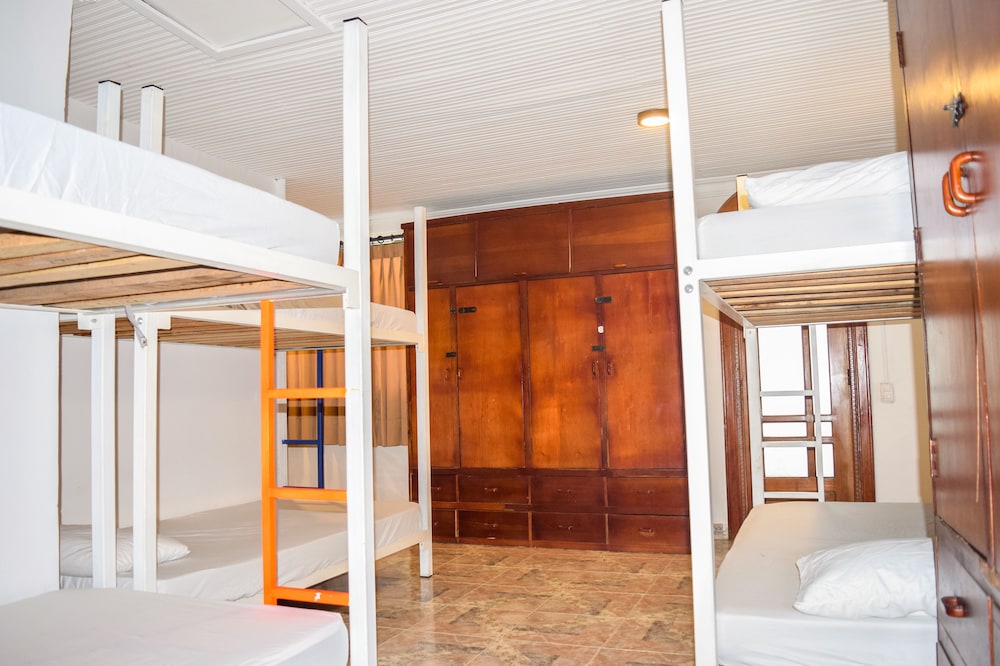 Wonderland Party Hostel 20/51