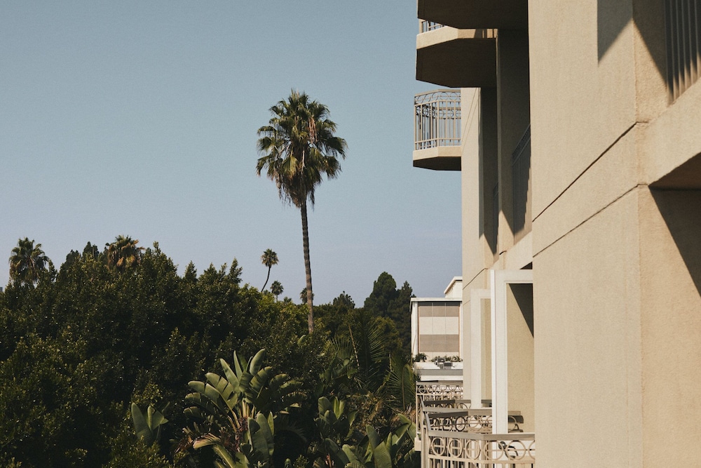 L Ermitage Beverly Hills 61/67