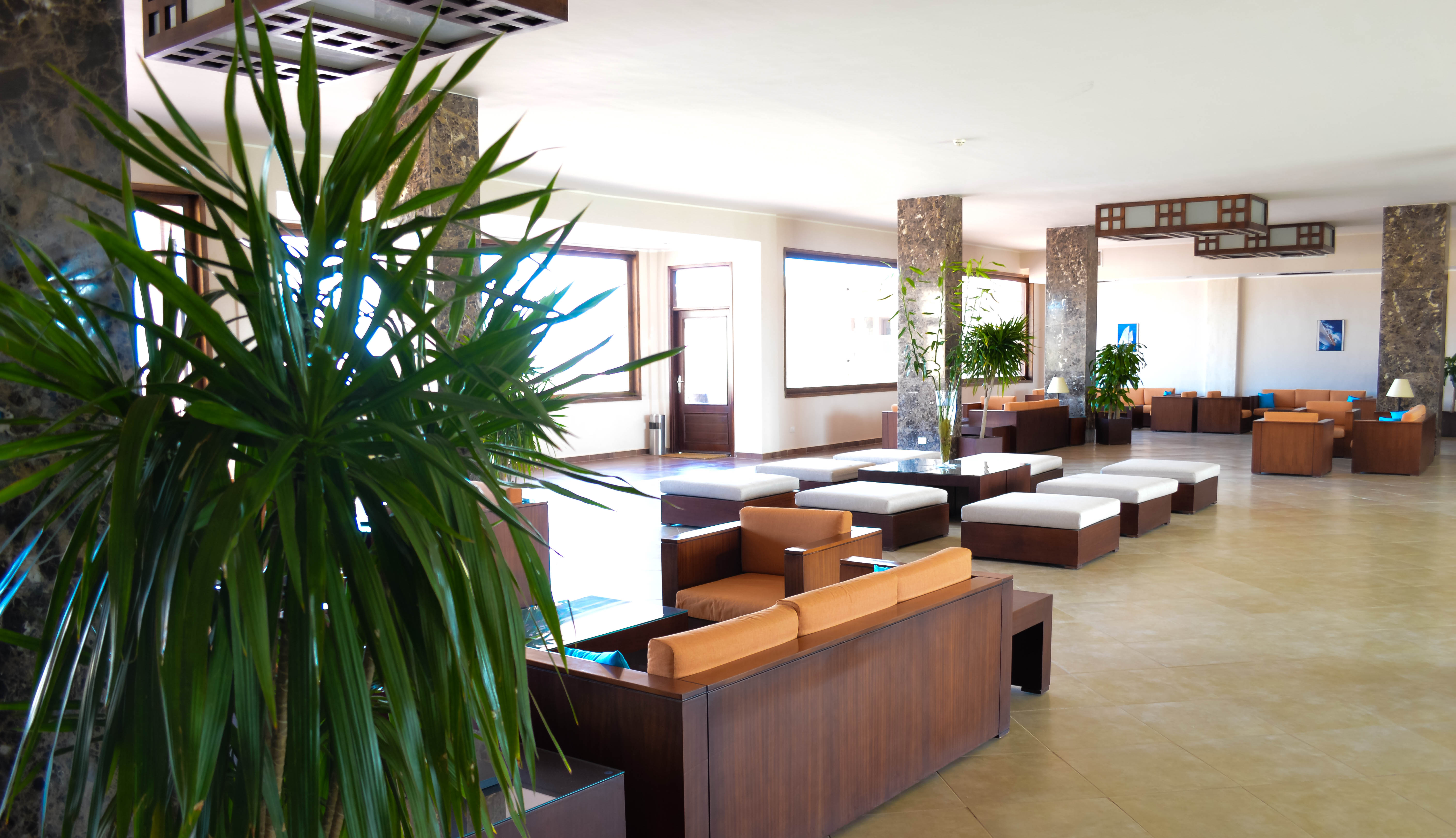 Viva Blue Resort and Diving Sharm El Naga - Adults Only (12 years and above) 31/54
