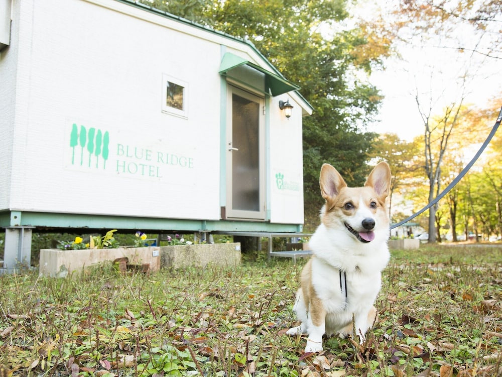 Blue Ridge Hotel 2/41