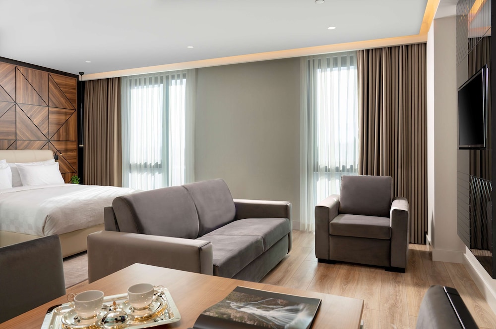 Radisson Blu Hotel Sakarya 26/49