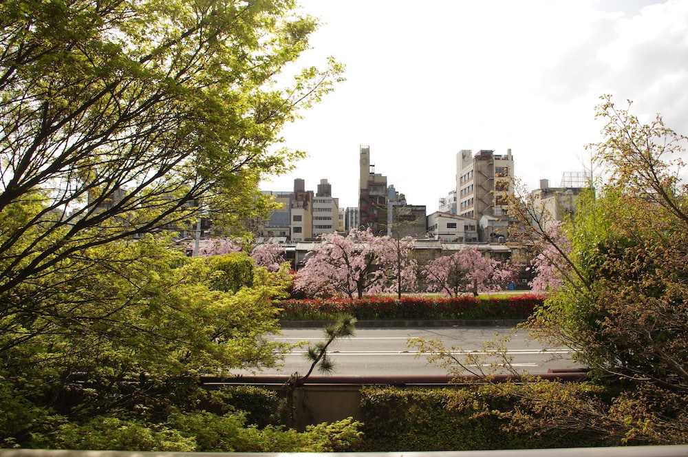Resistay Gion 39/50