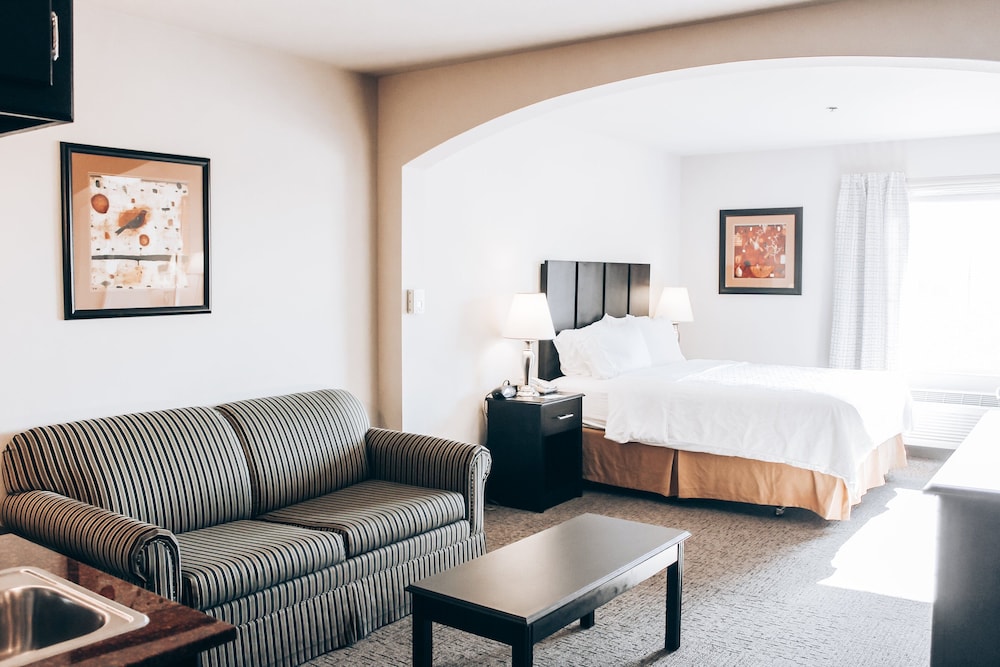 Holiday Inn Express Hotel And Suites Weatherford 27/41