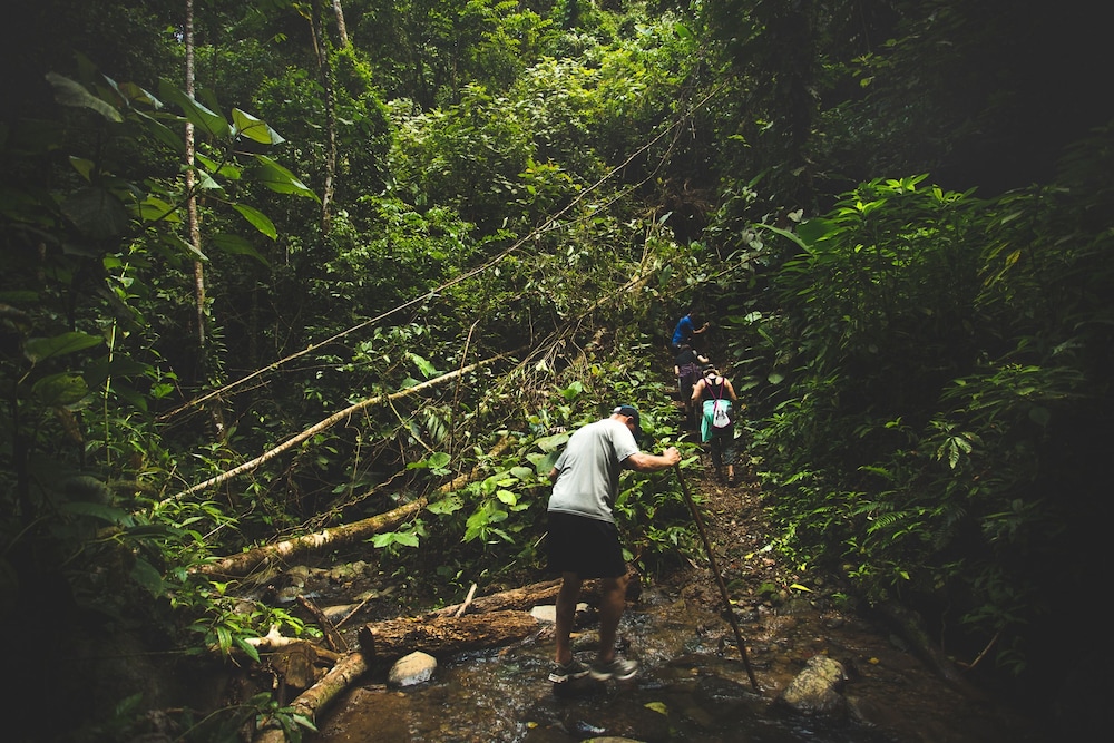 Pacuare Lodge 31/65