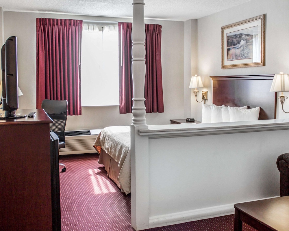 Suite, Queen Bed, Sofa