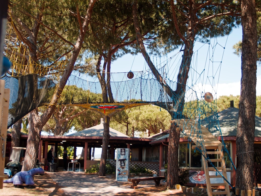 Club Degli Amici Camping Village 3/50