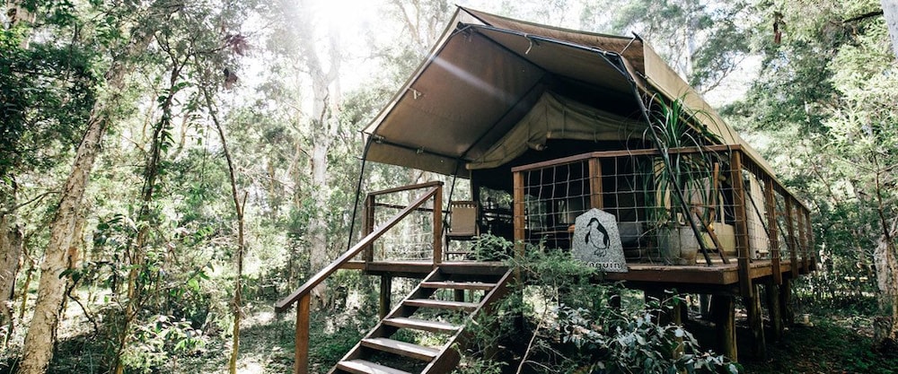 Paperbark Camp 10/48