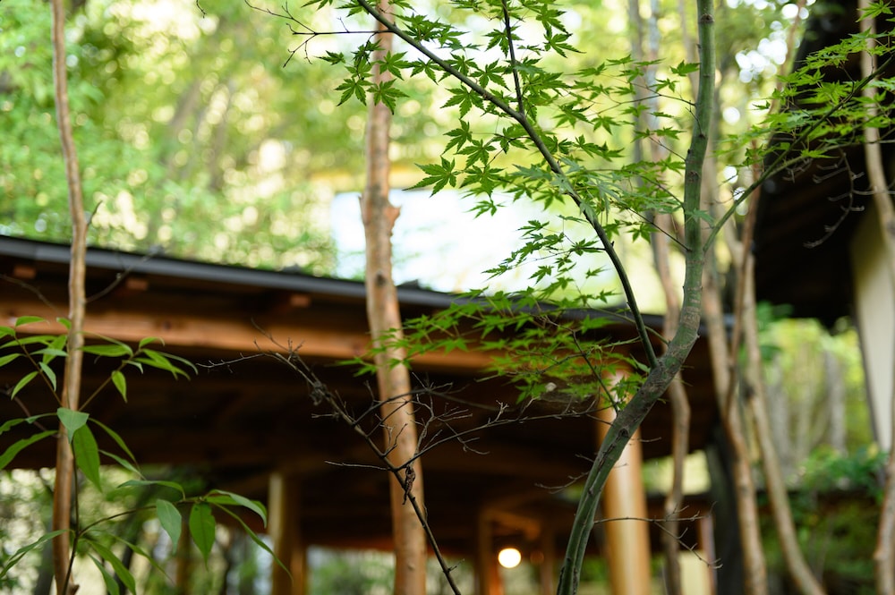 Ryokan Mebaeso 27/62