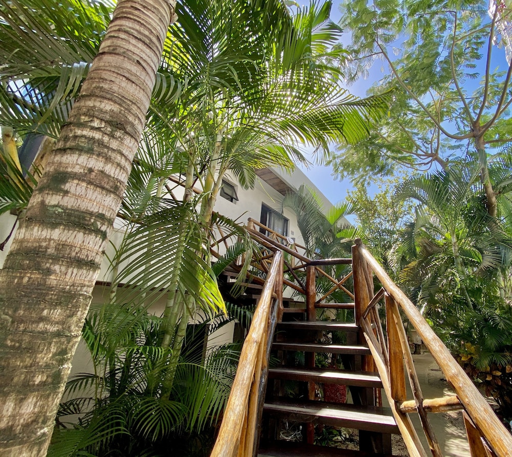 Pacha Tulum Boutique Hotel 80/84