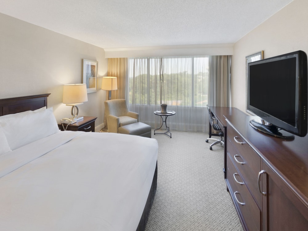 Hilton Greenville Hotel 18/69