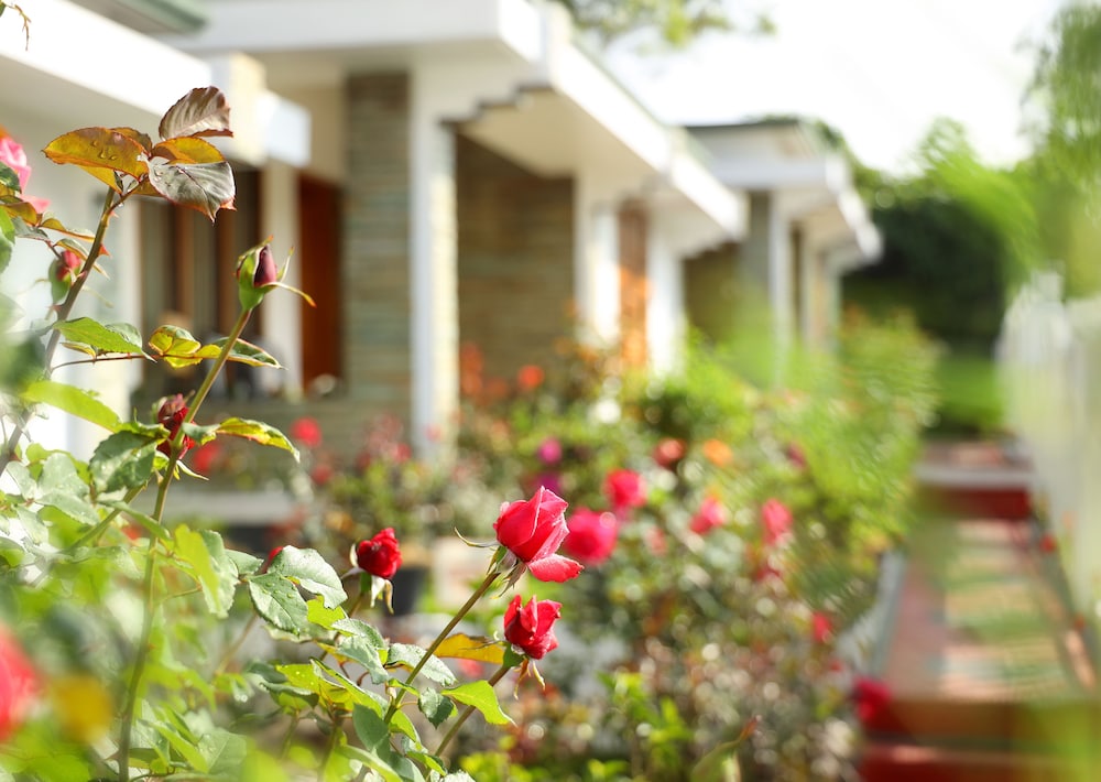 ELYSIUM GARDENS 40/44