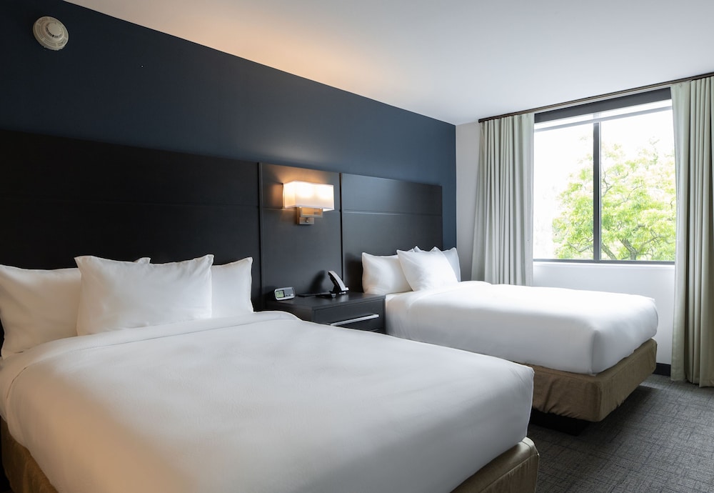 1 BEDROOM, SUITE, ACCESSIBLE