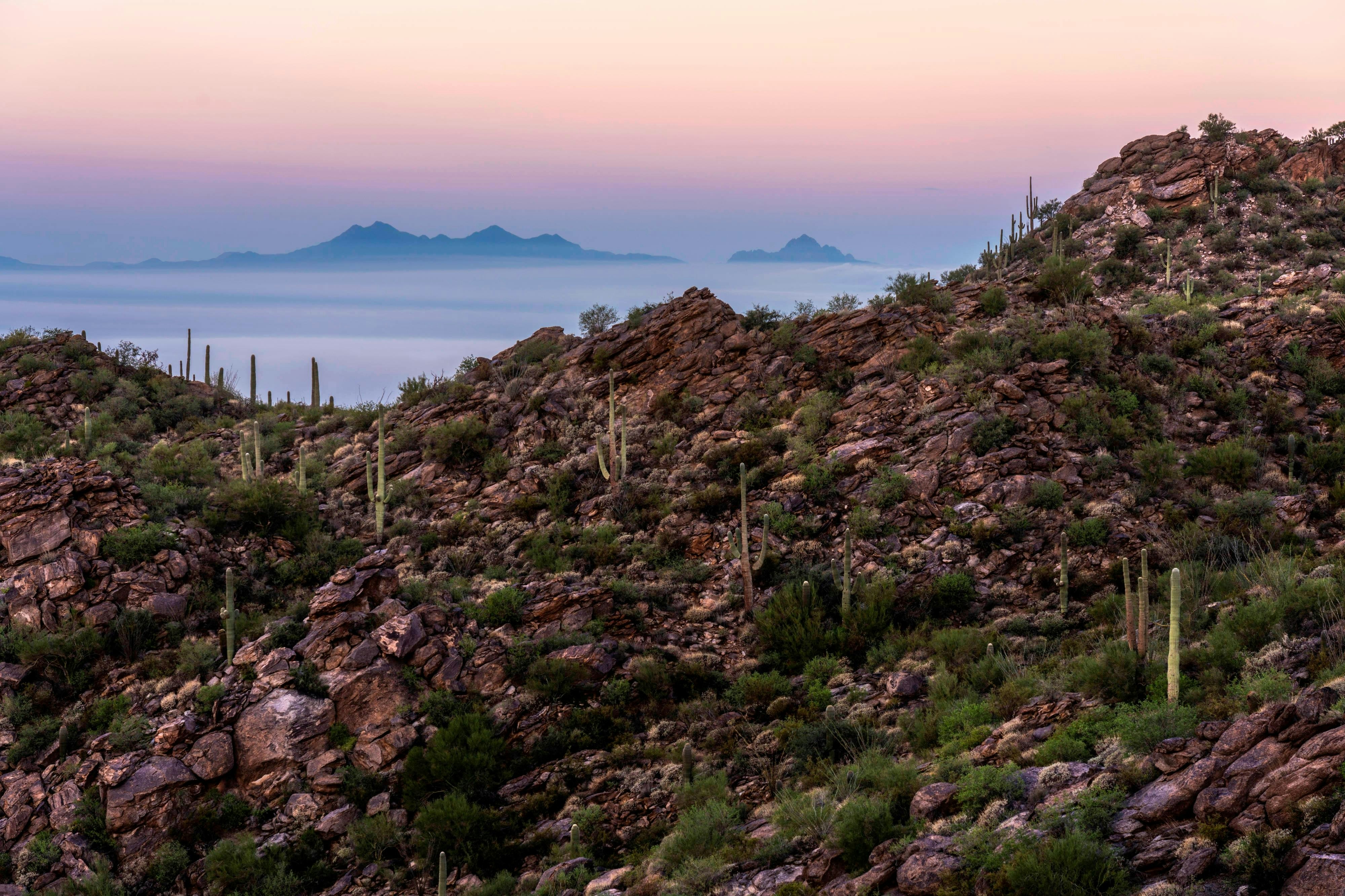 The Ritz Carlton Dove Mountain 43/51
