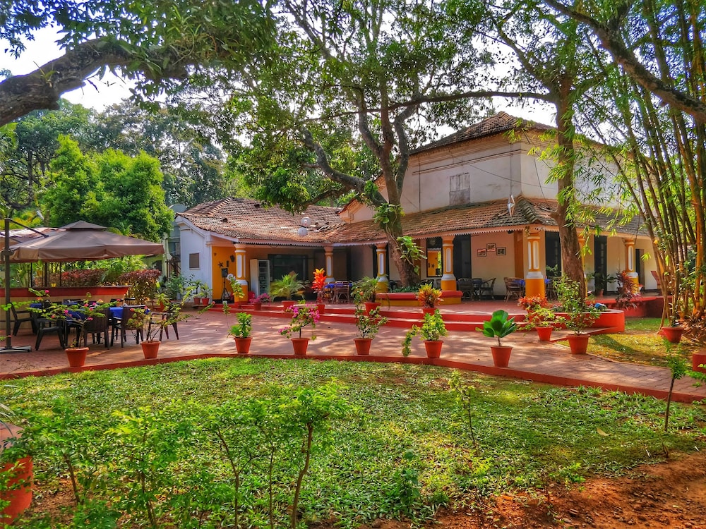Granpas Inn Bougainvillea 45/50