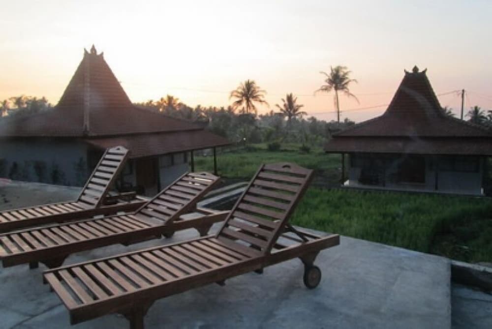 Kampoeng Joglo Ijen Banyuwangi 44/46