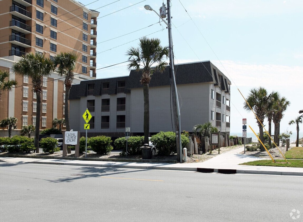 Ocean Forest Colony 44/54