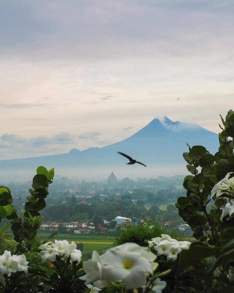 Abhayagiri - Sumberwatu Heritage Resort 43/55