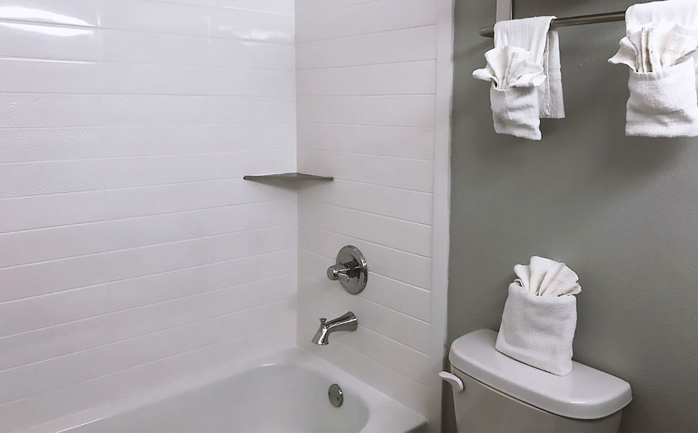 Americas Best Value Inn & Suites San Antonio Arena District 21/21