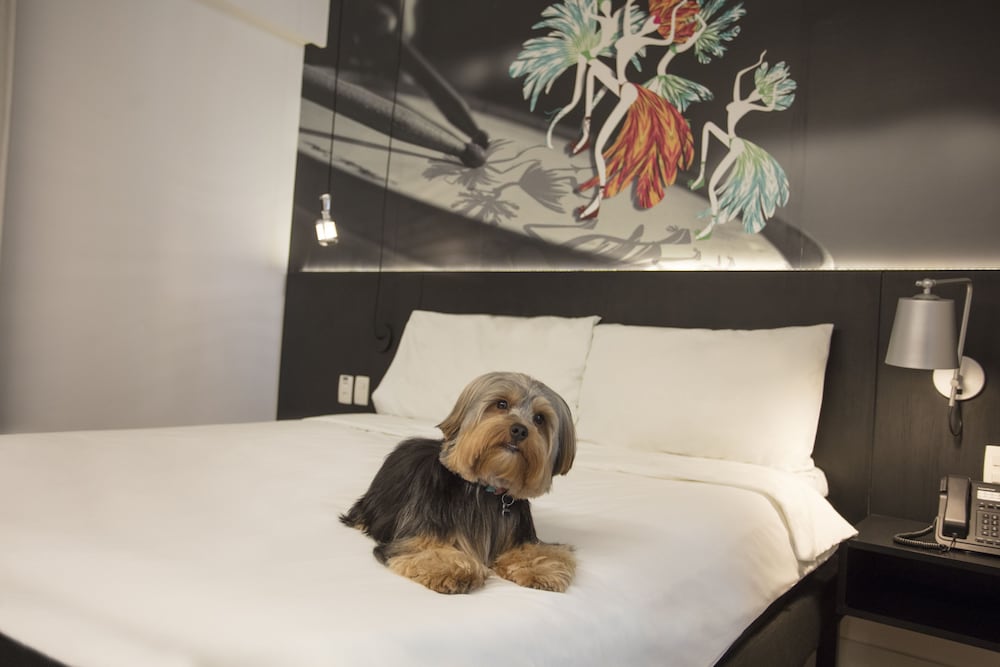 Ibis Styles Taubate 26/72