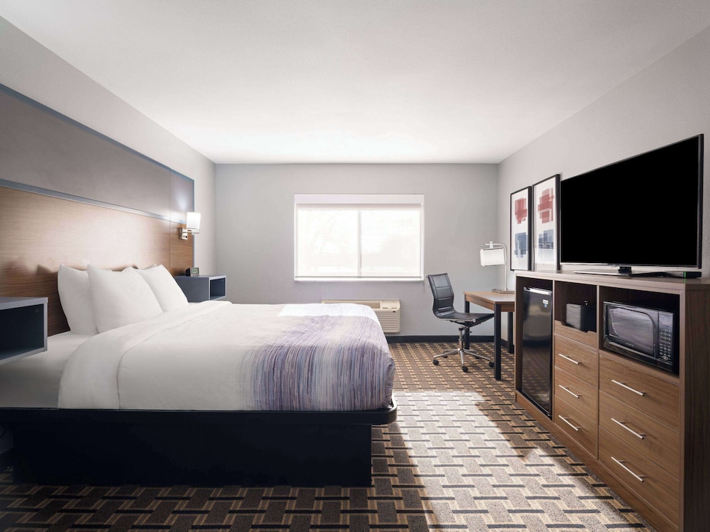 Room, King Bed