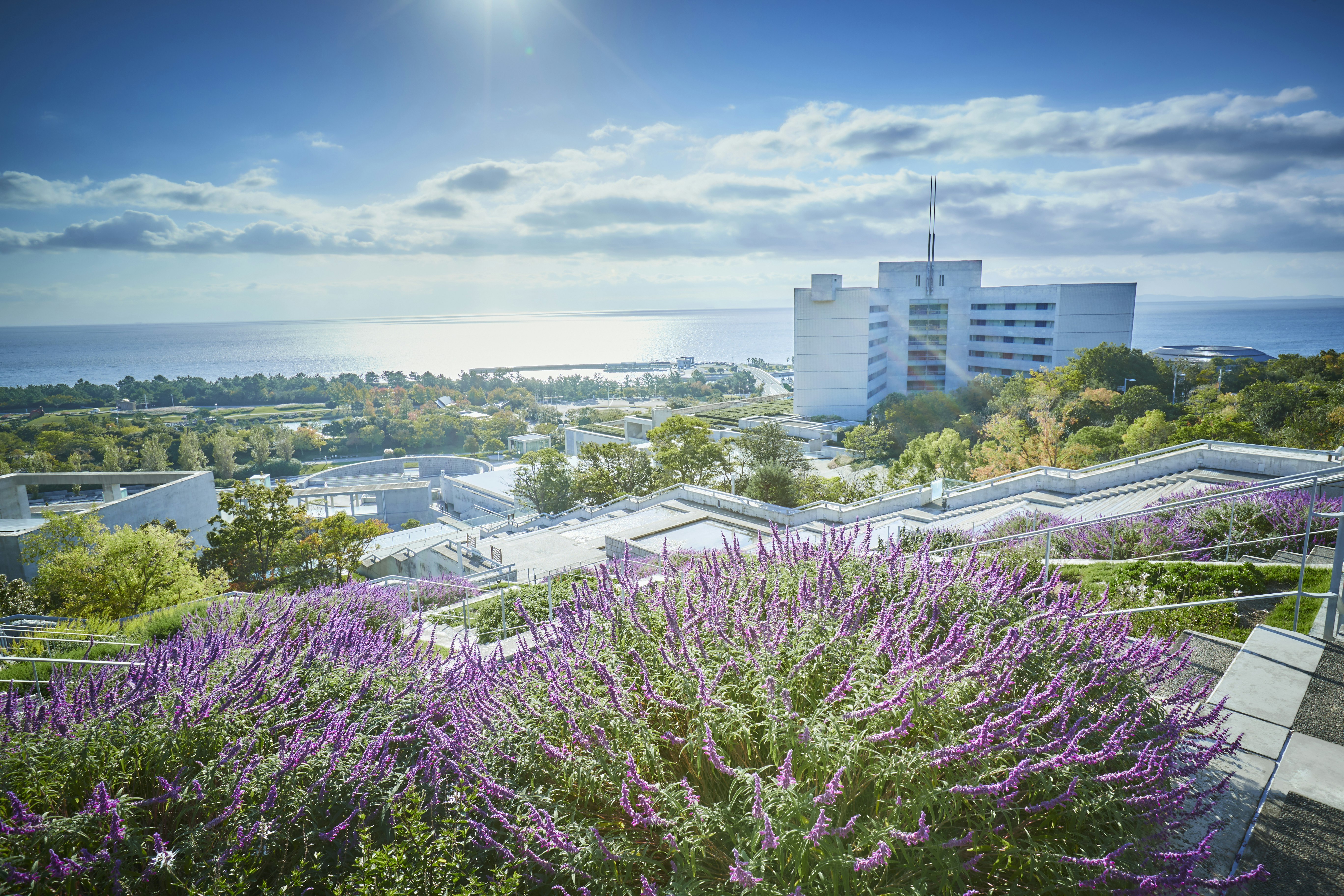 Grand Nikko Awaji (ex The Westin Awaji Island Resort & Conference Center) 47/50
